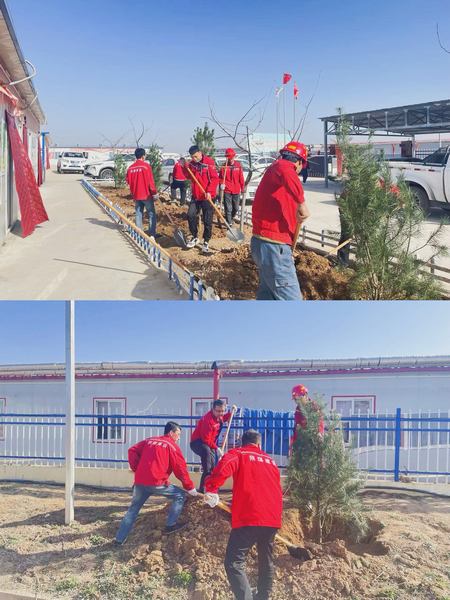 陕煤建设矿建二公司:这个春天 “植”得期待