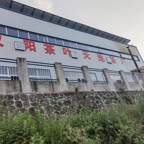 实事一件接着一件，跑出乡村振兴“加速度”