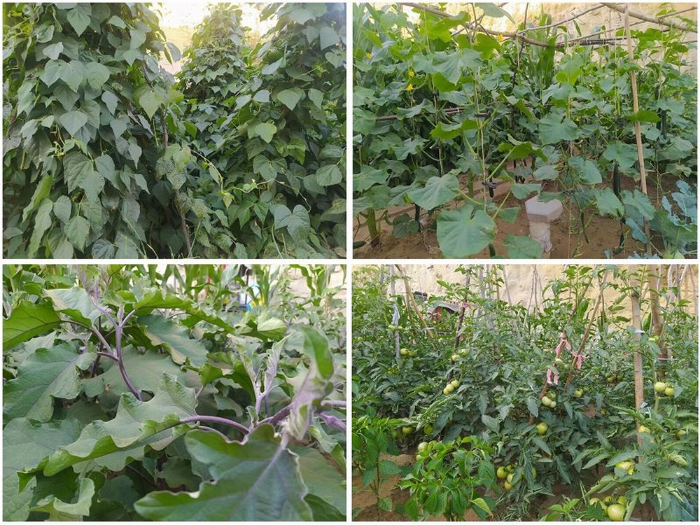 陕煤建设天工公司土建四部：双手开辟幸福田   汗水浇灌暖心园