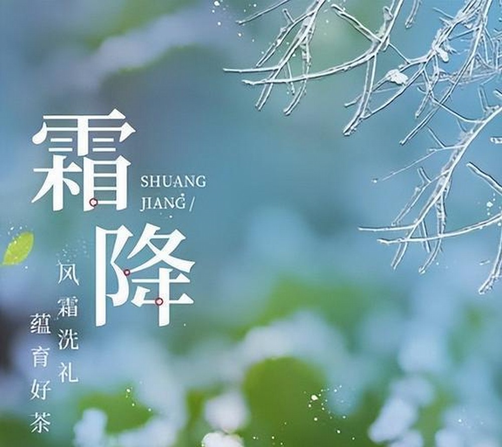 霜降:秋的告别式