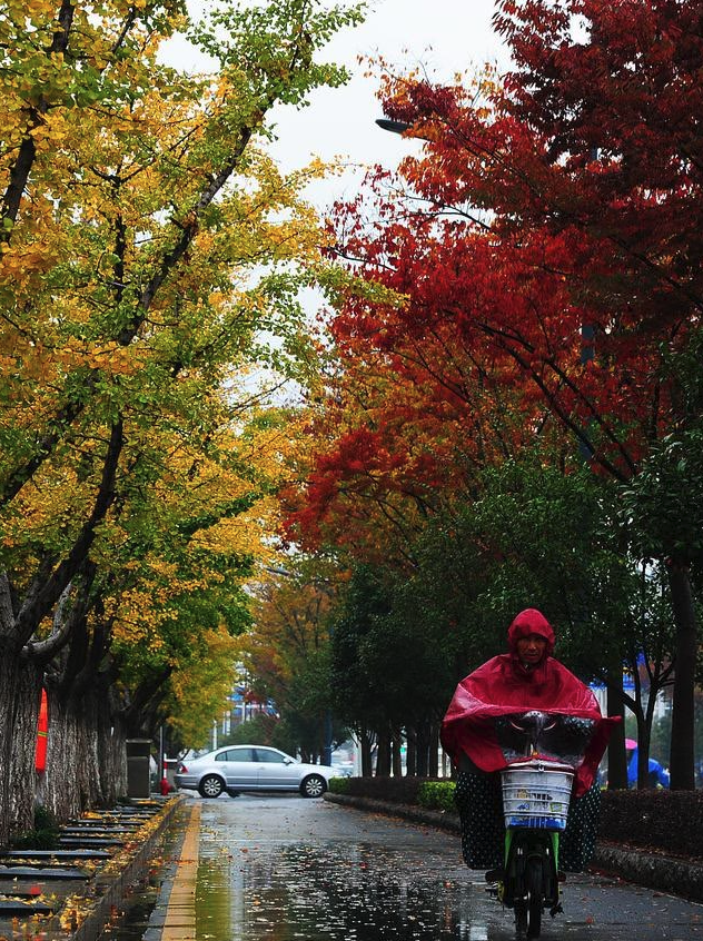 秋雨绵绵