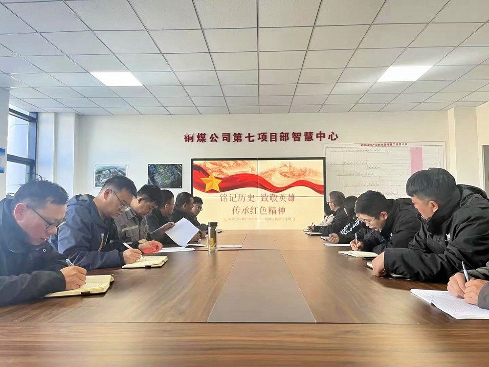 看!这个“主题党日”有声有色!