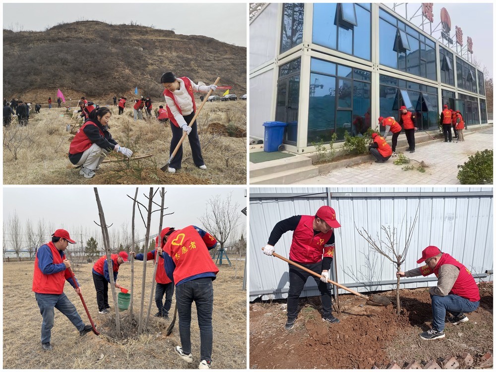 陕煤建设澄合分公司:为春天充“植” 为未来蓄能