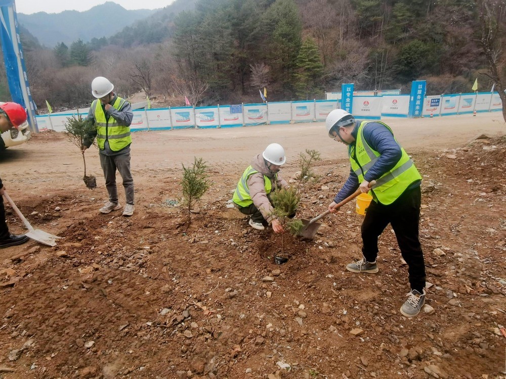“植”此青绿，陕煤建设路桥分公司春风十里添新林