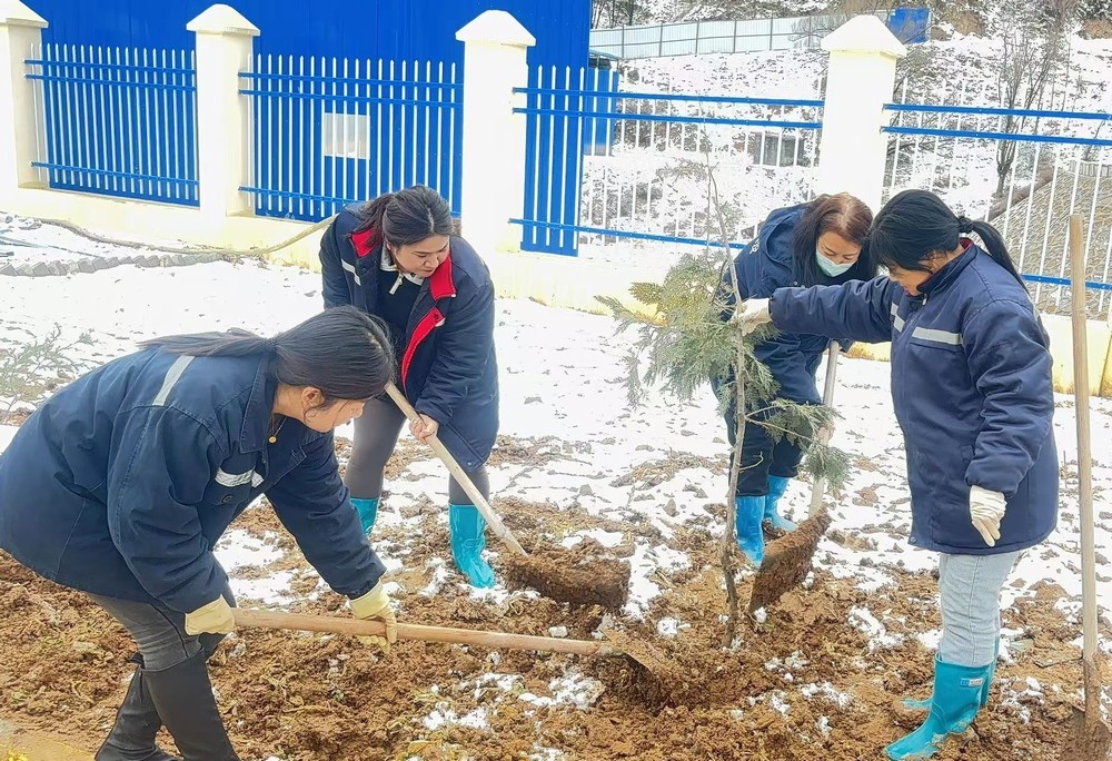 陕煤建设矿建三公司：巾帼添绿绽芳华，共筑生态新环境