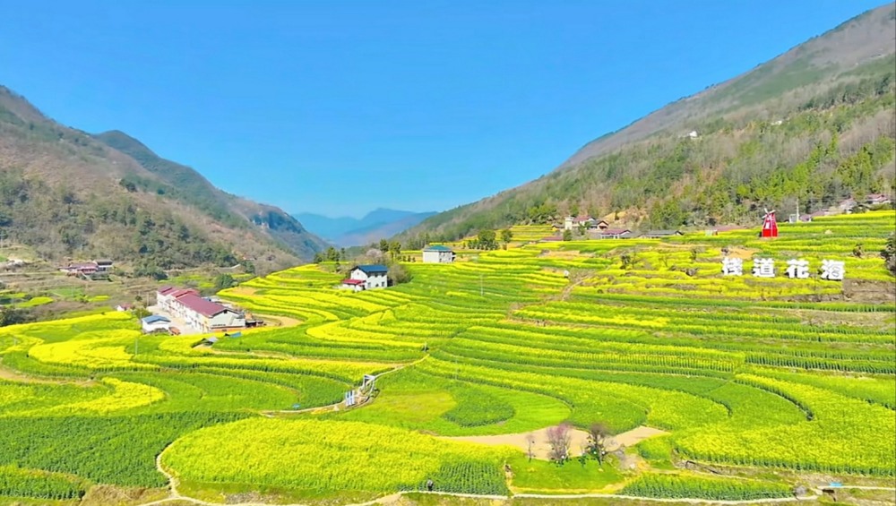 陕煤建设汉中分公司:花海盛景中绽放企业风采
