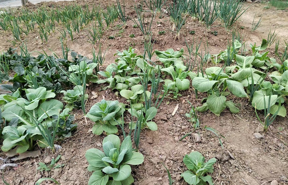 陕煤建设澄合分公司:情系职工办实事 点滴关怀暖人心