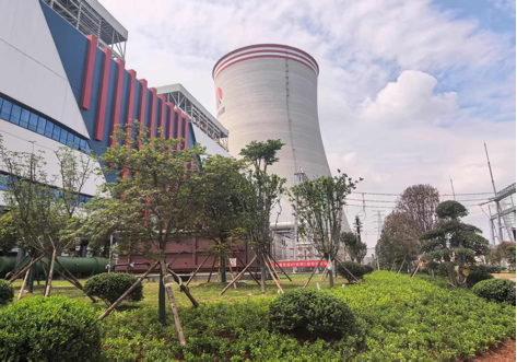 陕煤建设西北分公司：绿意盎然入电厂，生态建设谱新章