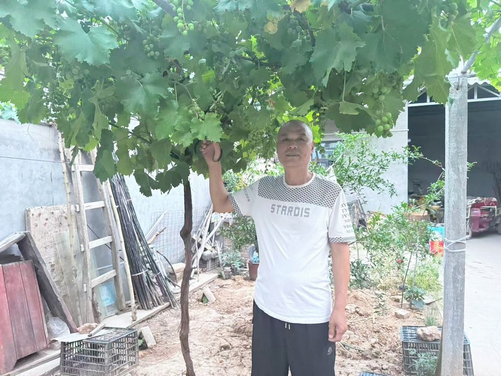 岁月里的木艺人生：写给父亲的赞歌