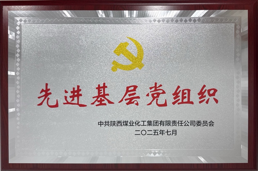 陕煤建设绿宇公司：荣获陕煤集团“先进基层党组织”称号