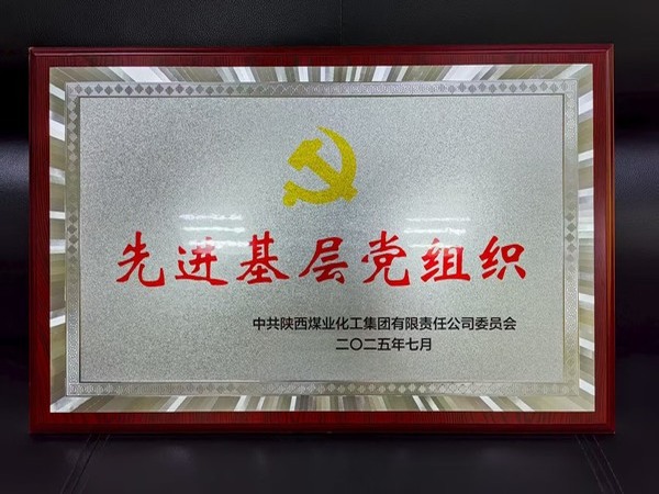 陕煤建设煤矿运营服务分公司党总支荣获陕煤集团“先进基层党组织”称号