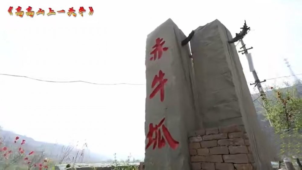 扎根乡土，砥砺初心
