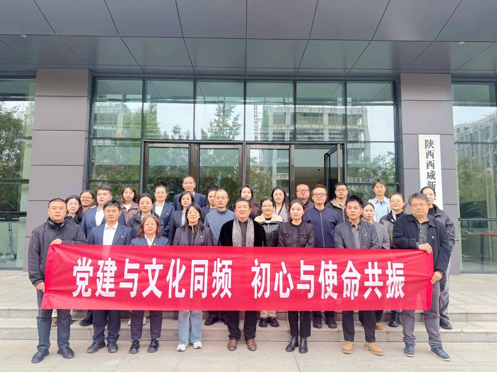 跨界联动!党建与文化在柴窑火韵中同频共振