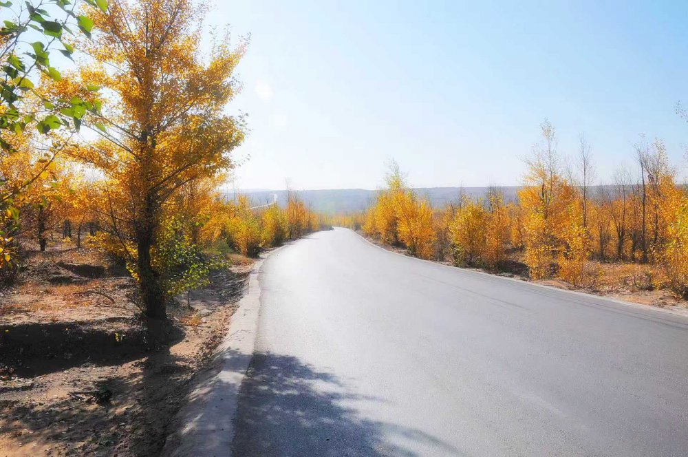 黄土铸风骨  秋风唱大歌