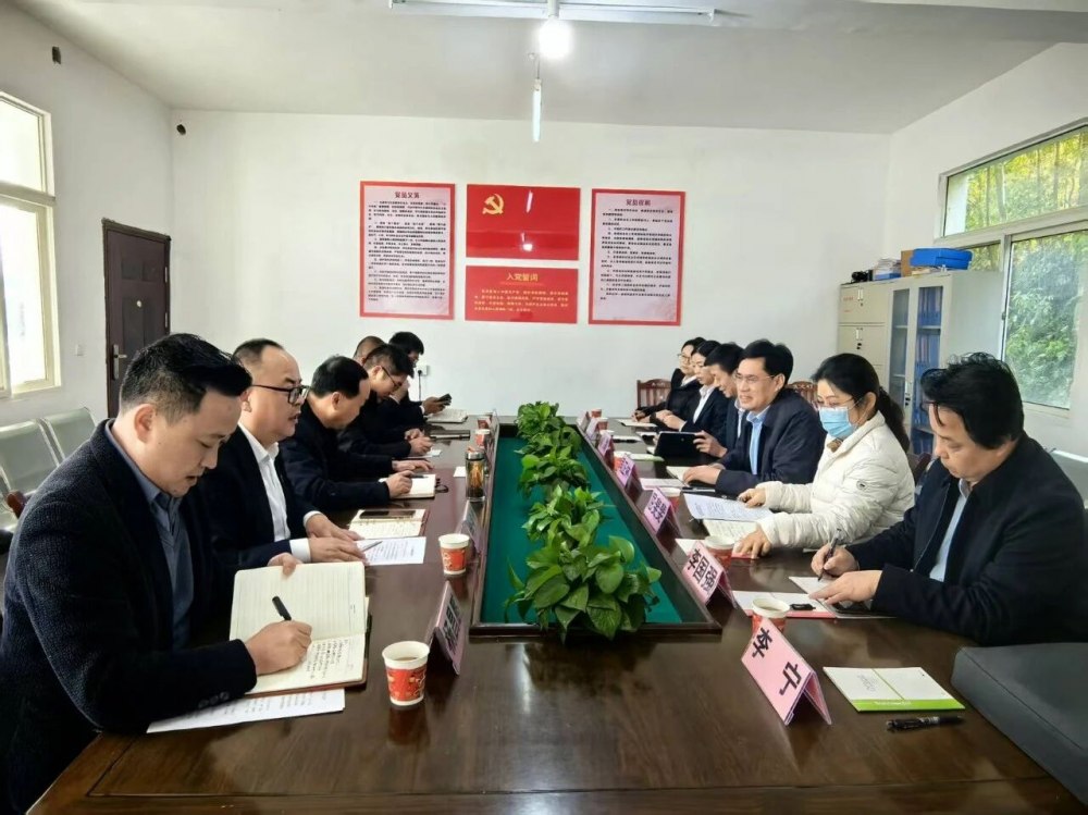 司正林深入定点帮扶村调研督导乡村振兴工作