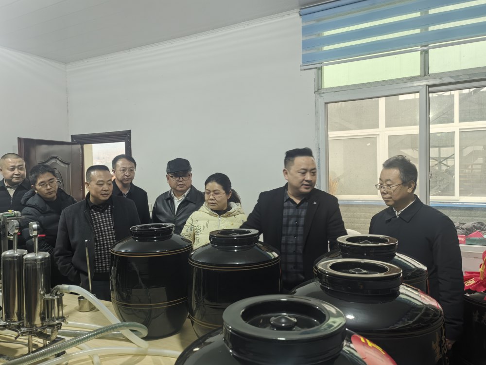 陕煤建设定点帮扶村:调研指导促发展 凝心聚力助振兴