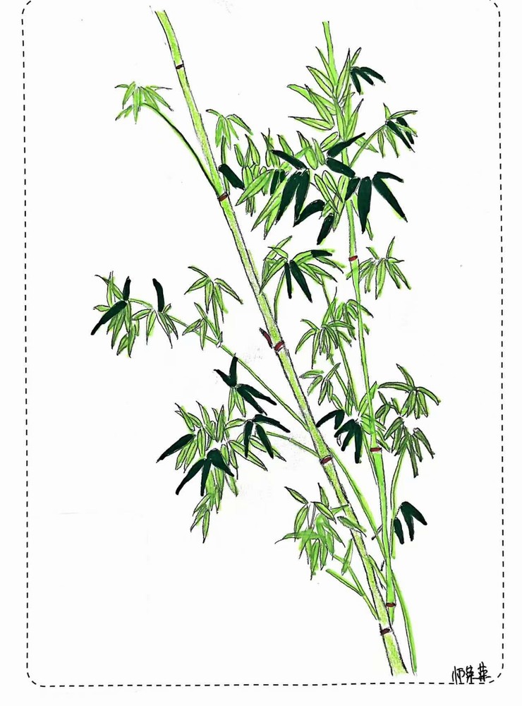 漫说廉洁!这组“草木廉盟”太可了