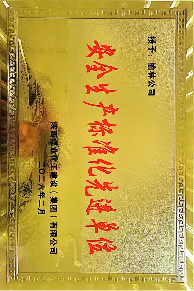 喜获殊荣树标杆  安全护航促发展